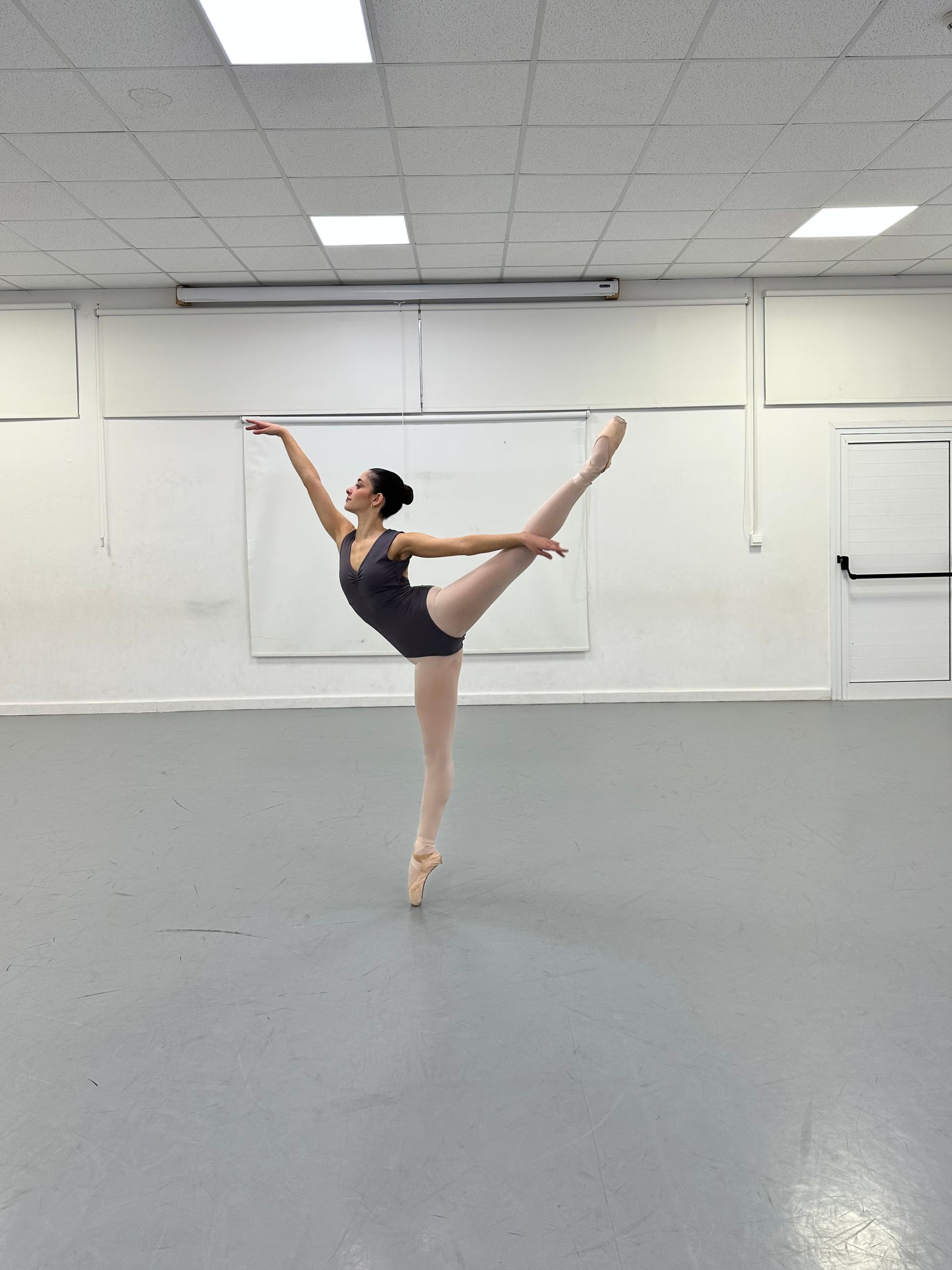 Ballet Image 6